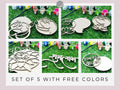 Set of 5 with free colors