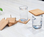 Coaster-1