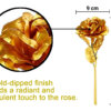 golden rose