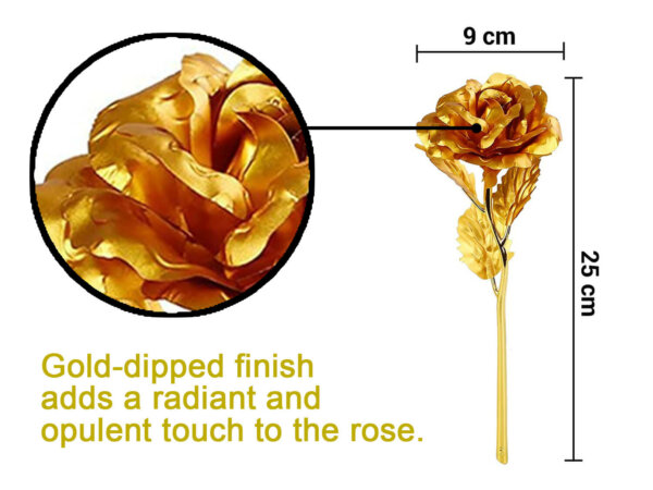 golden rose