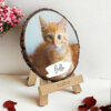 Customized Pet Picture frame