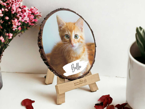 Customized Pet Picture frame