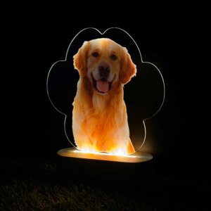 Personalized Photo LED Lamp Pet Picture Frame – Perfect Gift for Pet Lovers