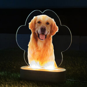 Personalized Photo LED Lamp Pet Picture Frame – ...