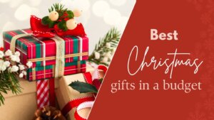 Read more about the article Best Christmas Gift in Budget